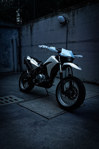 Midnight Ride: The Urban Beast 🏍️🌌