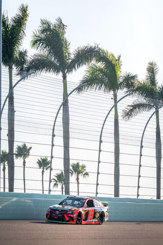 Racing Under the Palm Trees 🌴🏁