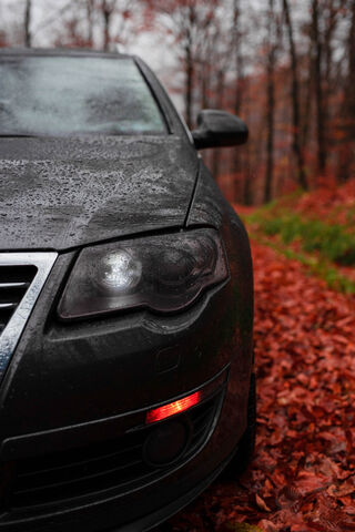 Passat Adventure: Embracing the Elements 🌧️🍂