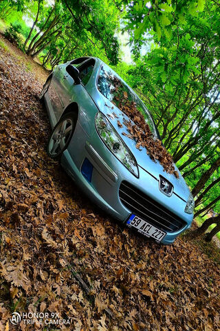 Peugeot 407: Nature's Embrace 🍂🚗
