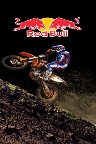 Soaring High with Red B..