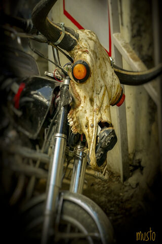 Bone-Chilling Ride: The Skull Headed Bike 🏍️💀