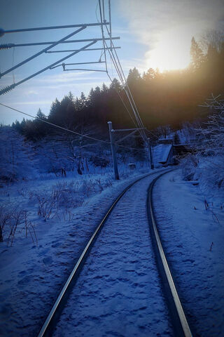 Winter's Whisper: The Snowy Train Journey 🚂❄️