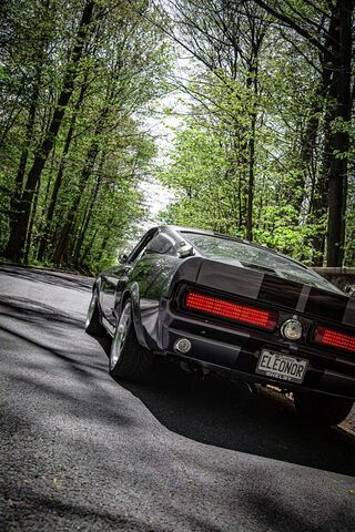 Eleanor: The Iconic Shelby GT500 in Nature's Embrace 🌲🚗