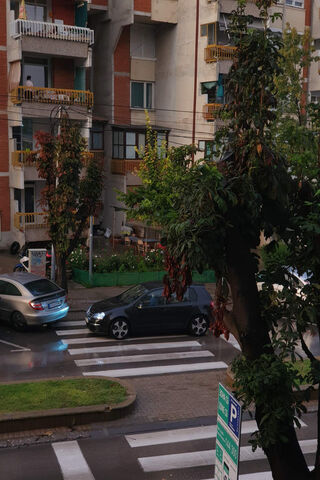 VW Golf MK5 GT: A Stylish Ride in the City 🚗🌆