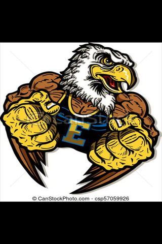 Eagle Power Unleashed! 🦅💪