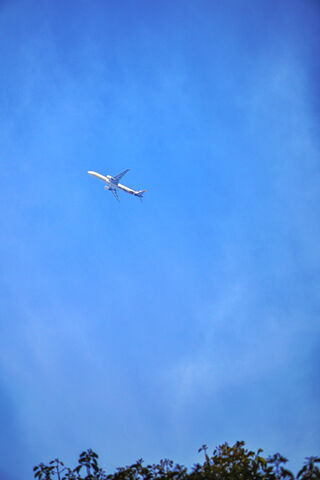 Soaring Dreams: A Journey Above