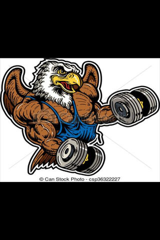 Eagle Power: Strength in Flight! 🦅💪