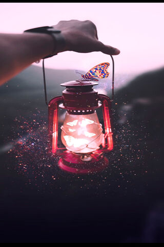 Illuminated Dreams: The Batterfly Effect 🦋✨