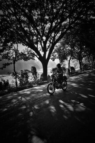 Journey Through Shadows: A Serene Bike Ride