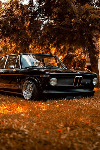 Classic Elegance: The BMW 2002