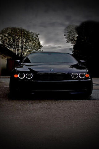 Midnight Majesty: The B..