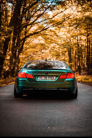 The Majestic BMW F10: A Drive Through Autumn