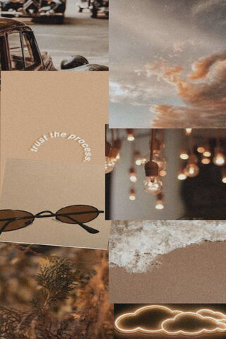 Embracing the Warmth of Brown Aesthetic 🌾✨