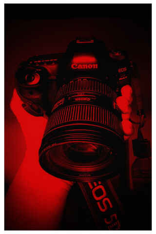 Canon Camera