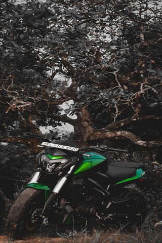 Dominar 400: The Beast Awaits 🏍️🌲