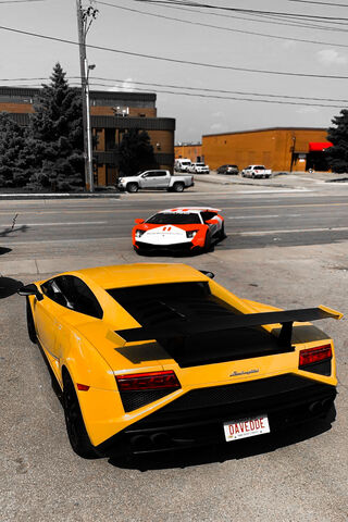 Exotic Rides on the Daily Grind 🚗💨