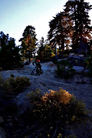 DHB Fun: Thrills on Two Wheels! 🚴 ️🌲