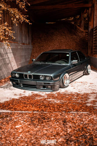 E30 Elegance: A Timeles..