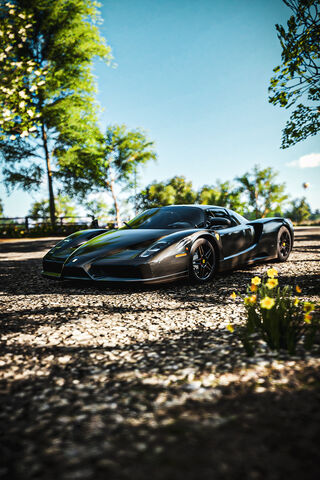 Enzo's Elegance: A Masterpiece on Wheels 🚗✨