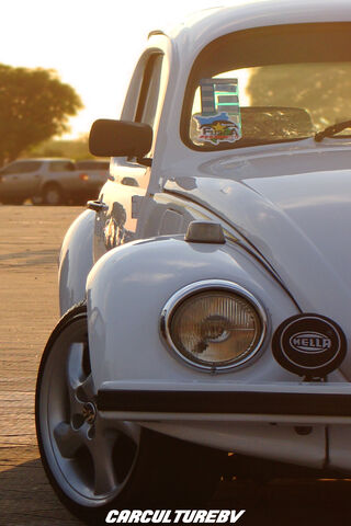 Classic Charm: The 1993 Fusca