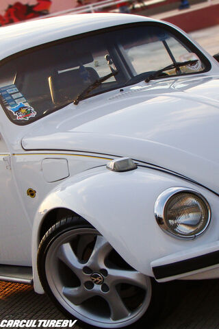 Classic Charm: The 1993 Fusca