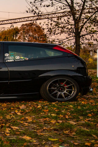 Sleek and Stylish: The Ford Focus in Autumn