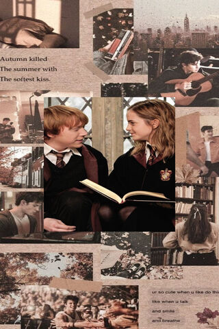 Whispers of Friendship: Hermione and Ron in Autumn