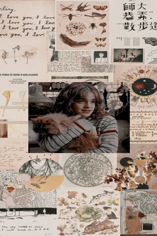 The Enchanting World of Hermione Granger ✨📚