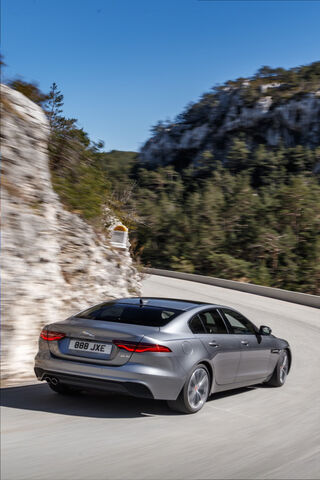 Jaguar: The Thrill of the Open Road 🐆🚗