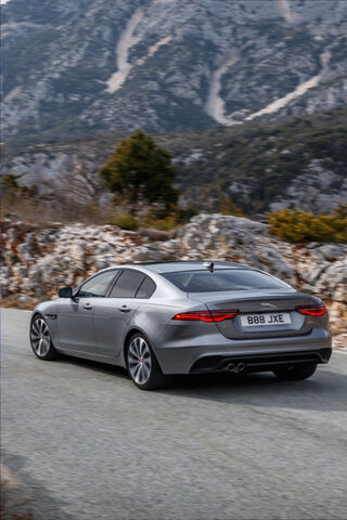 Jaguar: The Epitome of Elegance and Power 🐆✨