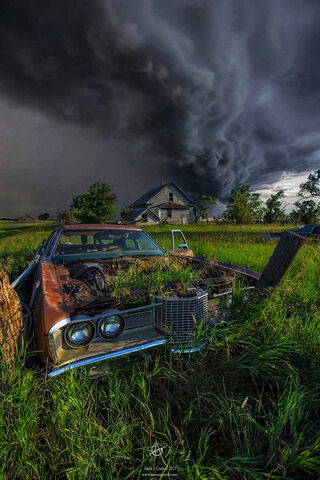 Forgotten Dreams: The Junk Car Chronicles