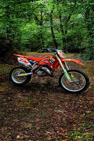 KTM EXC 2004: The Ultimate Trail Companion 🏍️🌲