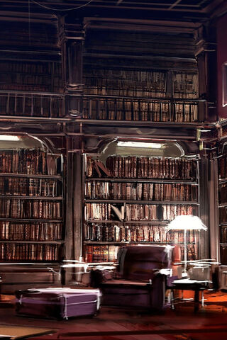 Whispers of Knowledge: A Cozy Library Retreat 📚✨