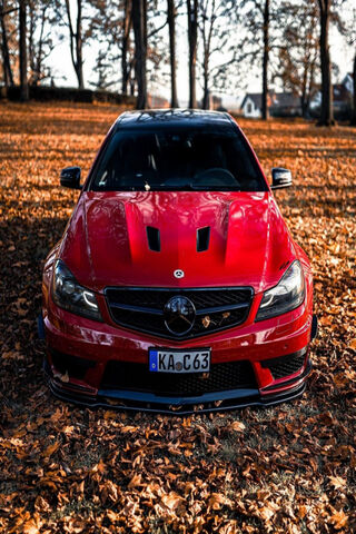 The Bold Beauty: Mercedes C63 Coupe in Autumn Splendor 🍂🚗