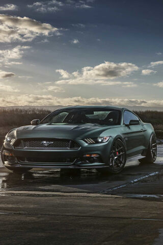 Unleashing the Mustang ..