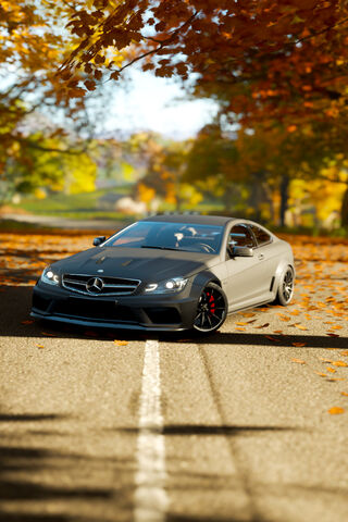 Unleashing Power: The Mercedes C63 in Autumn Glory 🍂🚗
