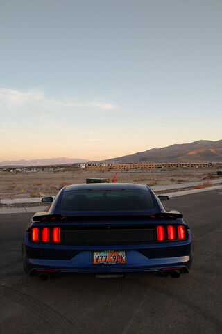 Roaring into the Horizon: The Mustang Experience 🐎✨