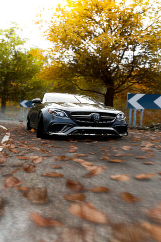 Autumn Elegance: The Mercedes E63 S BRABUS