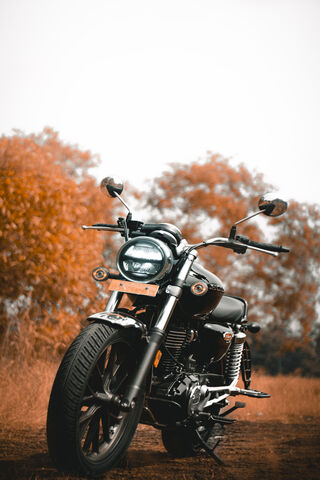 Riding into the Autumn Breeze 🍂🏍️