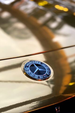 The Iconic Star: A Glimpse of Luxury