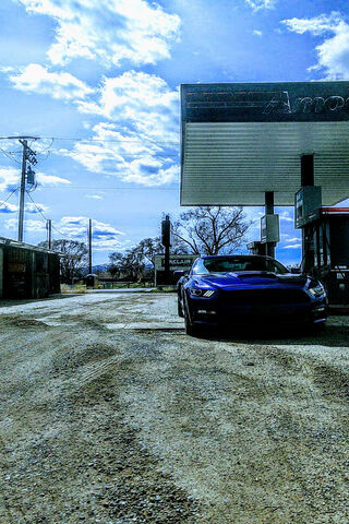Mustang: The Icon of Freedom on the Open Road 🏎️✨