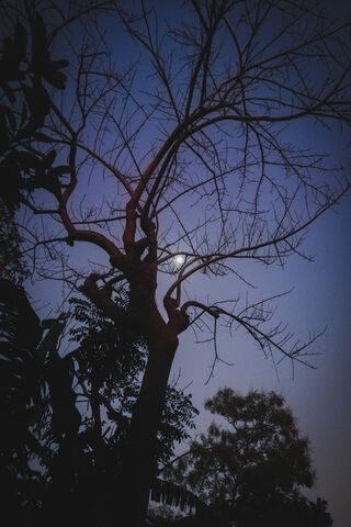 Moonlit Serenity: A Glimpse of Nicaragua's Night