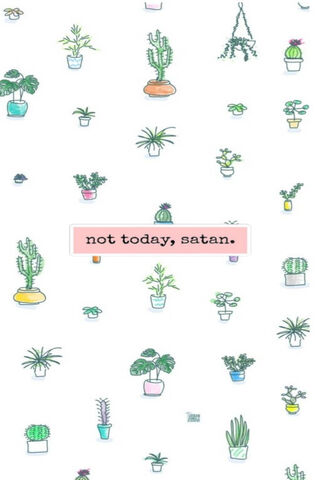 Plant Power: A Day of Positivity 🌱✨