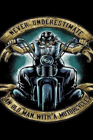 Wisdom on Wheels: The Fearless Rider