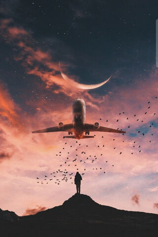 Soaring Dreams: A Journey Beyond the Horizon ✈️🌌