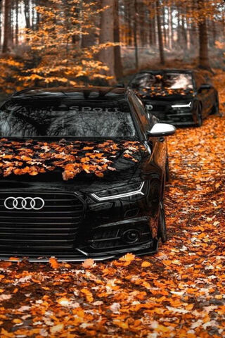 Autumn Elegance on Wheels 🍂🚗
