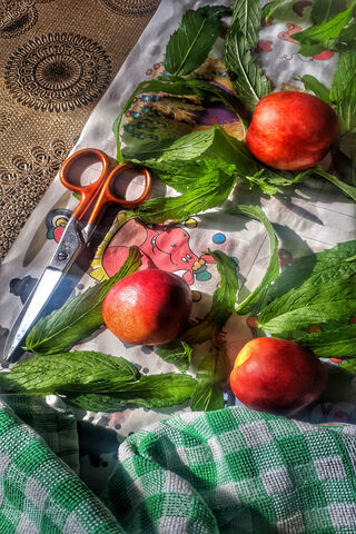 Fresh Delights: Peaches and Mint Harmony 🍑🌿