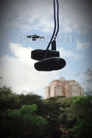 Melodies in the Air 🎶