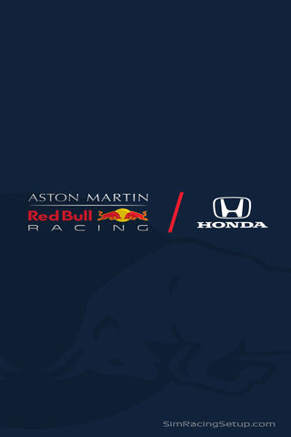 Red Bull F1 Team